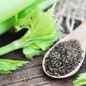 celery-seed-nov212019-min-2